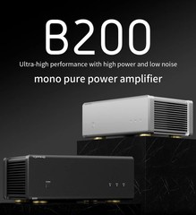 TOPPING B100 Or TOPPING B200 High Power and Low Noise Mono Pure Power Amplifier