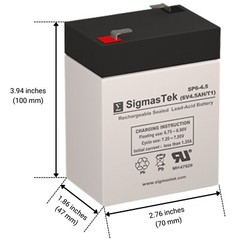APC BACKUPS BK200 UPS Battery Set (Replacement)