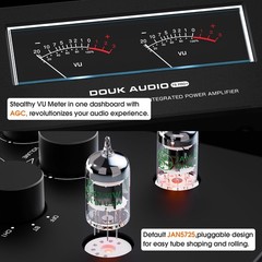Douk Audio Bluetooth Tube Amp: 300W x2 TPA3255 2 Channel Stereo Power Amplifi…