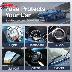 300Pcs Car Fuse Assortment Kit, 160 Mini Blade Fuses Automotive + 90 Standard Au