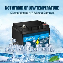 LiFePO4 Battery 12V 10Ah 30Ah 50Ah with BMS for RV Trolling Motor with Charger