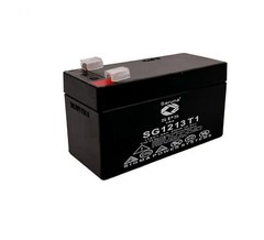 Raion Power 12V 1.3Ah Replacement SLA Battery For HKbil 6FM1.2