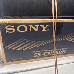 NEW Sony SS-CN550H Center 2.0 8Ohm 150W Channel Speaker 150W 80Ω VIDEO