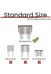 2 X 10 Amp Red Standard Fuse 10A ATM 32V Ships Today Auto Spade Blade plug In