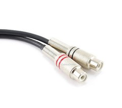 CablesOnline 1ft 7-Pin Din Male to 2-RCA Female Audio Cable