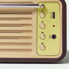 Small Wood Finish with Brass Retro Radio – Hearth & Hand with