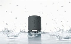 Sony SRS-XB100 Wireless Bluetooth Portable Compact Travel Speaker BLACK, NEW