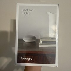 Google Nest Mini 2nd Generation Chalk