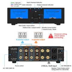 HIFI 2/4-Channel Digital Power Amplifier Speaker Selector for Eversolo DMP-A6