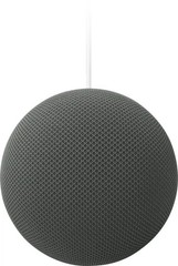 Google Home Speaker Smart Speaker Gemini Voice Assistant (Hazel)