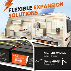 LiTime LiFePO4 12V 200Ah PLUS 200A BMS 2560W Lithium Battery for Off-Grid RV