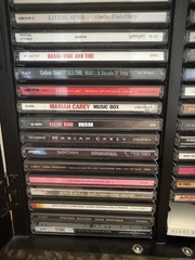 Hand Painted Hunt Scene CD Cabinet + 32 CDs (Mariah Carey, Santana,George Jones