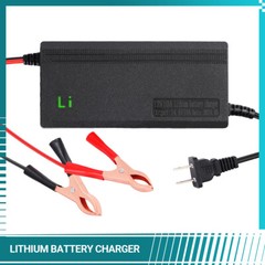 10-Amp 10A Fast Smart Charger For 12V Lithium Iron Phosphate Battery 14.6V