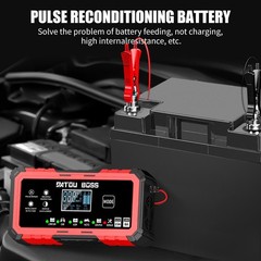 2* 12V 15A and 24V 8A Fast Battery Charger for 12V/24V LiFePO4 Lithium Batterie