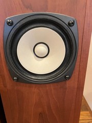 Fostex P1000-BH back-loaded horn speakers – Pair – Madisound