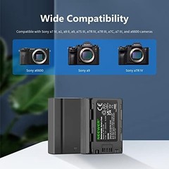 Dual USB Charger Kit with 2 Li-ION Batteries