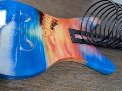 VTG Guitar CD DVD Disc Rack Holder Wall Mount Custom Painted Tropical Dolphin