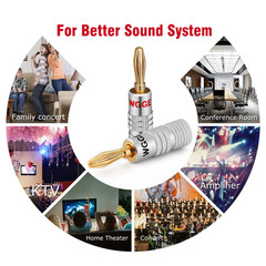 WGGE WG-009 Banana Plugs Audio Jack Connector, 24K Gold Dual Screw Lock Speaker