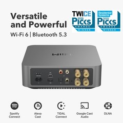 WiiM Amp Pro: Multiroom Streaming Amplifier | Compatible Pro Dark Gray