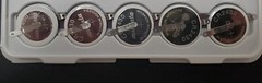 Lot 5 PCS muRata (Ex Sony) CR2430 w/ 2 Tabs Lithium 3.0v New Coin/Cell batteries