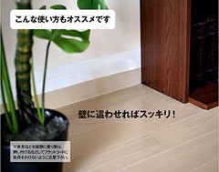 Thinnest 0.9mm power flat cord in the world 50cm white from JAPAN [go4]