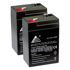 ExpertBattery 6V 4.5AH Battery for Power Wheels Harley Rocker – P5065 – 2 Pack