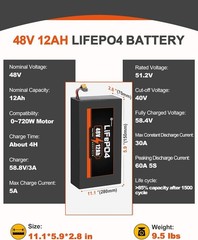 48v Lit/hium Lifepo4 Bi-ke 12Ah Battery Pack for 750W El/ec tric Motor 30A BMS