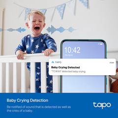 TP-Link Tapo TCW30 Indoor/Outdoor HD Security Camera with Pan/Tilt, Sound