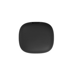 JBL Vibe 300TWS , True wireless earbuds