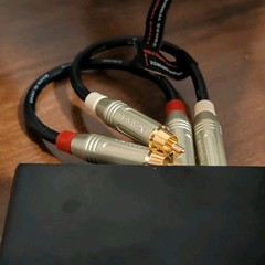 Topping L30 w/High quality Amphenol L/R Cable