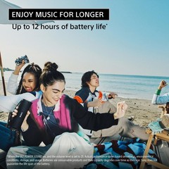 Sony – ULT FIELD 1 Wireless Bluetooth Speaker – Black