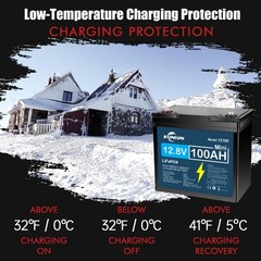 2/3/4 Pack 12V 100Ah LiFePO4 Lithium Battery, Built-in 100A BMS, for Golf Cart