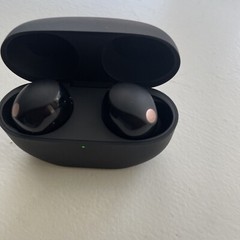 Sony WF-1000XM5 Wireless Noise Canceling Bluetooth Headphones Black (VER-1.0.1)