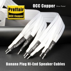 Pair Silver Plate Copper Speaker Cable Flat Bi-Wire Loudspeaker Banana Connector