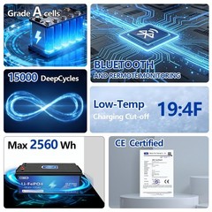 24V 100AH 2560Wh LiFePO4 Lithium Battery w/Bluetooth Communication BMS,From USA