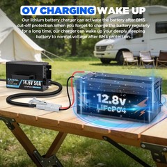 12V 50A Lithium Battery Charger 14.6V 50A Fast LiFePO4 Charger 0V Wake Up 12 …