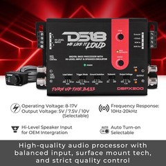 DS18 Digital Bass Processor With Hi to Low Signal Converter & Speaker Emulator