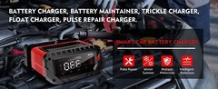 20-Amp Smart Car Battery Charger,12V/20A 24V/10A.Lithium,Lifepo4,Lead-Acid AGM