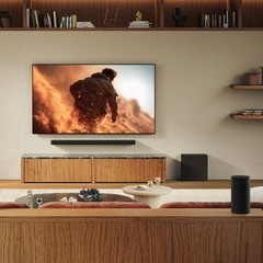 Sony SA-RS9 BRAVIA Theater Rear 9 Surround Speakers – Pair