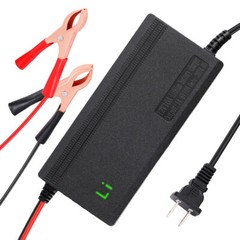 10-Amp 10A Fast Smart Charger For 12V Lithium Iron Phosphate Battery 14.6V