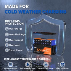 Litime 12V 200Ah Plus Heated LiFePO4 Battery 2560W Heating -4°F For Cold Area