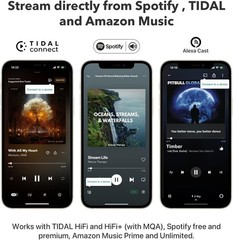WiiM Pro AirPlay 2 Receiver, Google Cast Audio, WiFi Multiroom Streamer