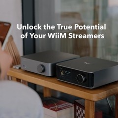 WiiM Vibelink Amp 100W Power Amplifier ESS DAC Compatible WiiM Mini/Pro