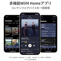 [Direct Import] WiiM Amp: Multi-Room Streaming Amplifier with AirPlay 2 Google