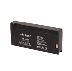 Raion Power 12V 2Ah Camcorder Battery For Magnavox CVN-320AV