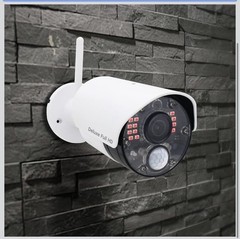 2 New CasaCam GuardianCams Deluxe (AC Powered 1080p Night Vision w/ Power Units)