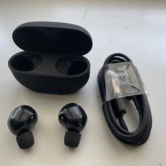 Sony WF-1000XM5 Wireless Noise Canceling Bluetooth Headphones Black (VER-1.0.1)