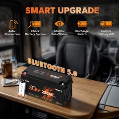 LiTime 12V 230Ah Bluetooth Low Temp LiFePO4 Lithium Battery For RV Marine Solar