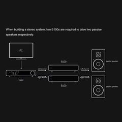TOPPING B100 Or TOPPING B200 High Power and Low Noise Mono Pure Power Amplifier