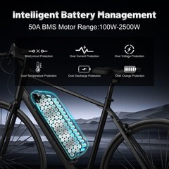 52V 25Ah Hailong Lithium Battery 50A BMS 100W-2500W with Samsung Cells